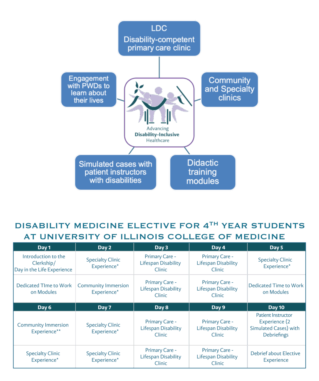Graphic of ADIH curriculum and schedule